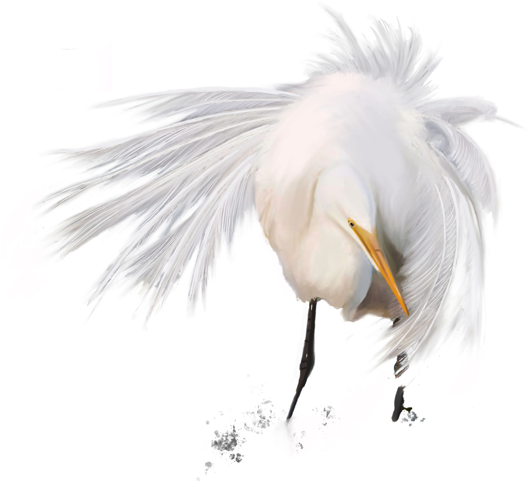 Painting of a Great Egret bird