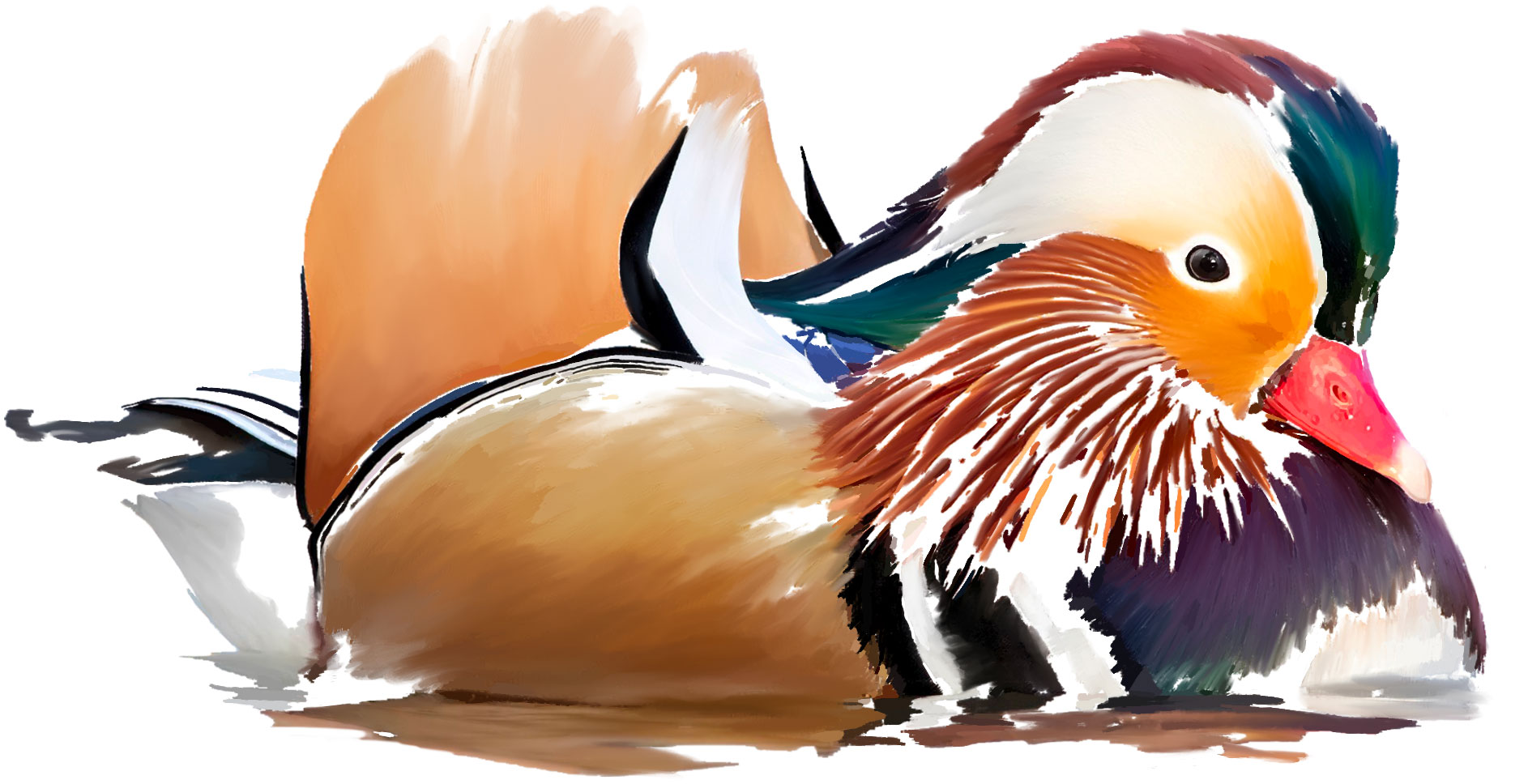 Painting of a Mandarin Duck bird
